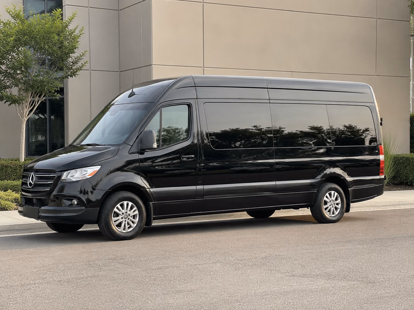 hayward 10 passenger sprinter van