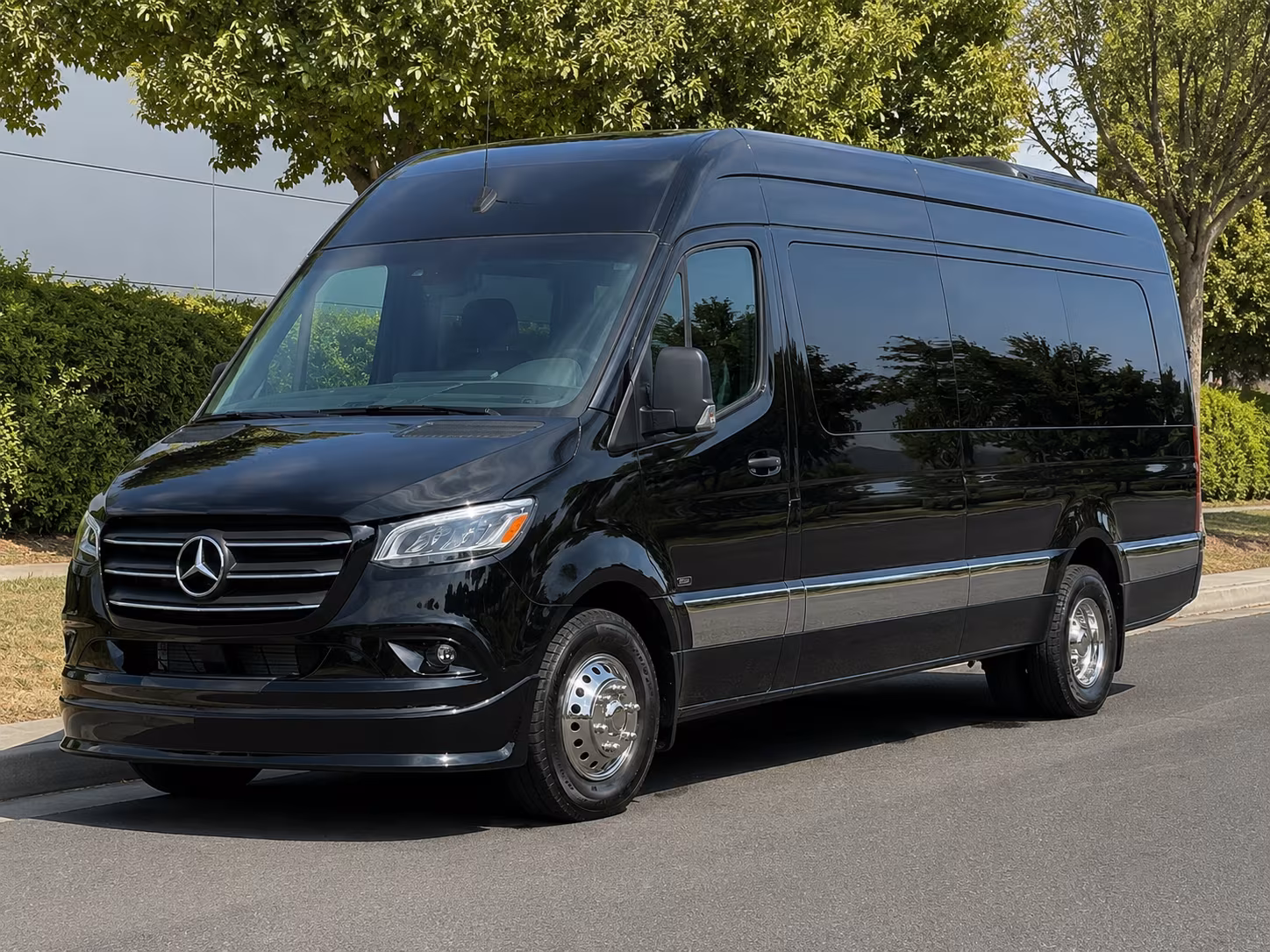 hayward 12 passenger sprinter van