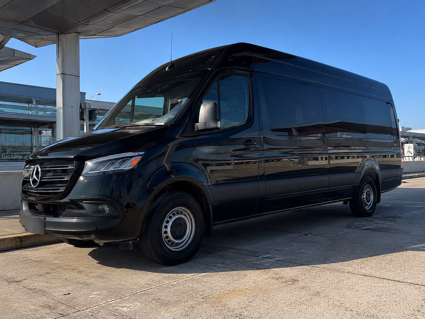 hayward 15 passenger sprinter van